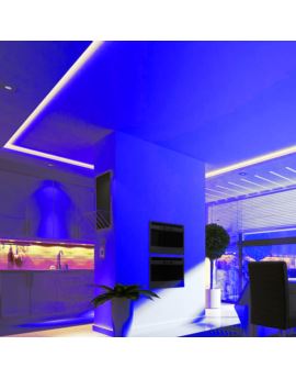 Taśma V-TAC SKU212137 VT-5050 60-IP20-11 Kolor Nie