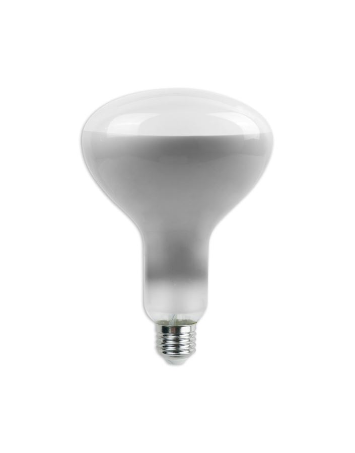 Żarówka V-TAC SKU7468 VT-2198D 6500K 8W 600lm