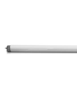 Świetlówka V-TAC SKU11218 20W