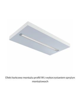 Profil LUMINES typ W Wpuszczany inox anodowany 1m