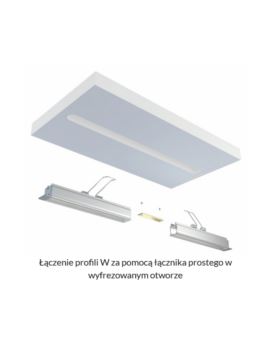 Profil LUMINES typ W Wpuszczany inox anodowany 2,02m