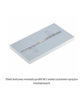 Profil LUMINES typ W Wpuszczany inox anodowany 2,02m